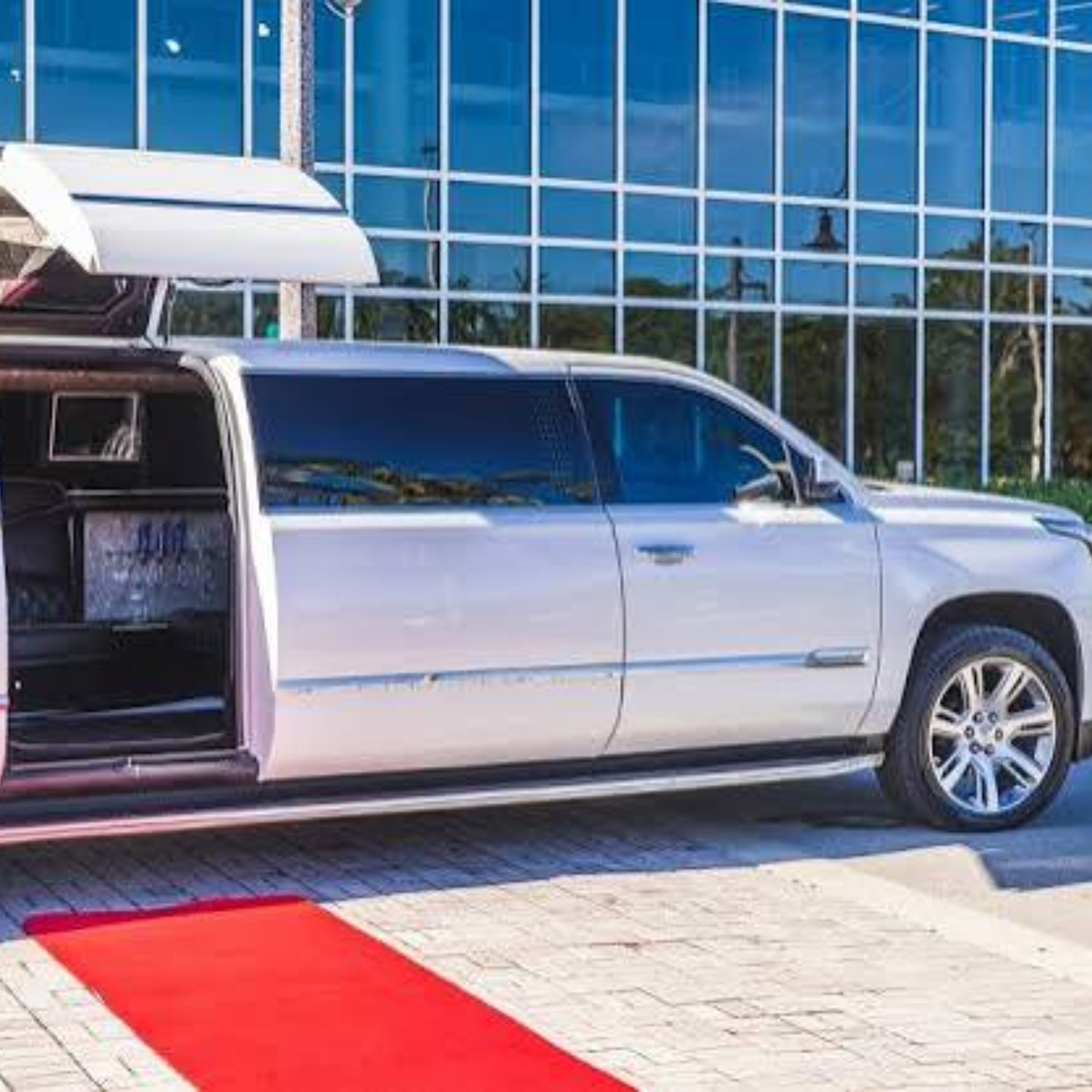 VIP Party Bus