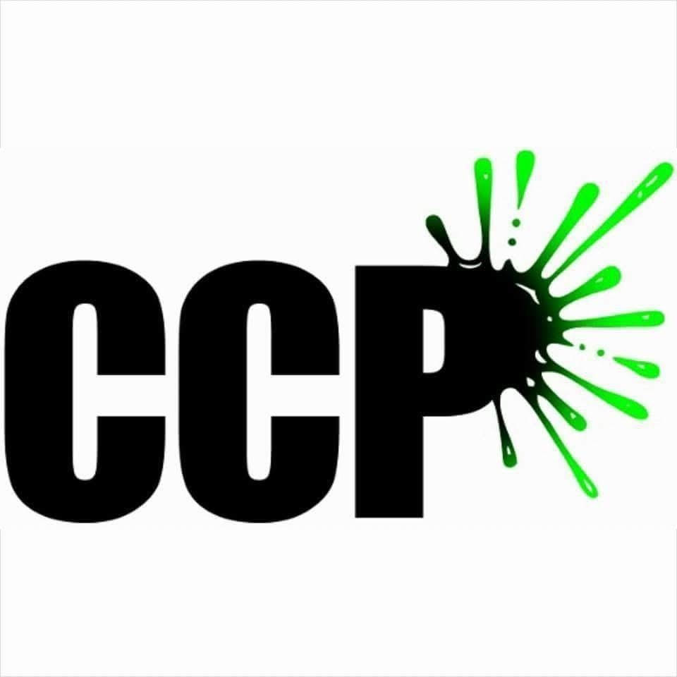 January- Citrus Heights: Camacho's Custom Painting 